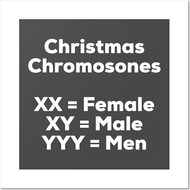 Christmas Chromosones Wall Art by AlternativeEye